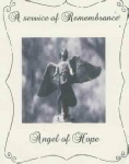 Angel of Hope.pdf